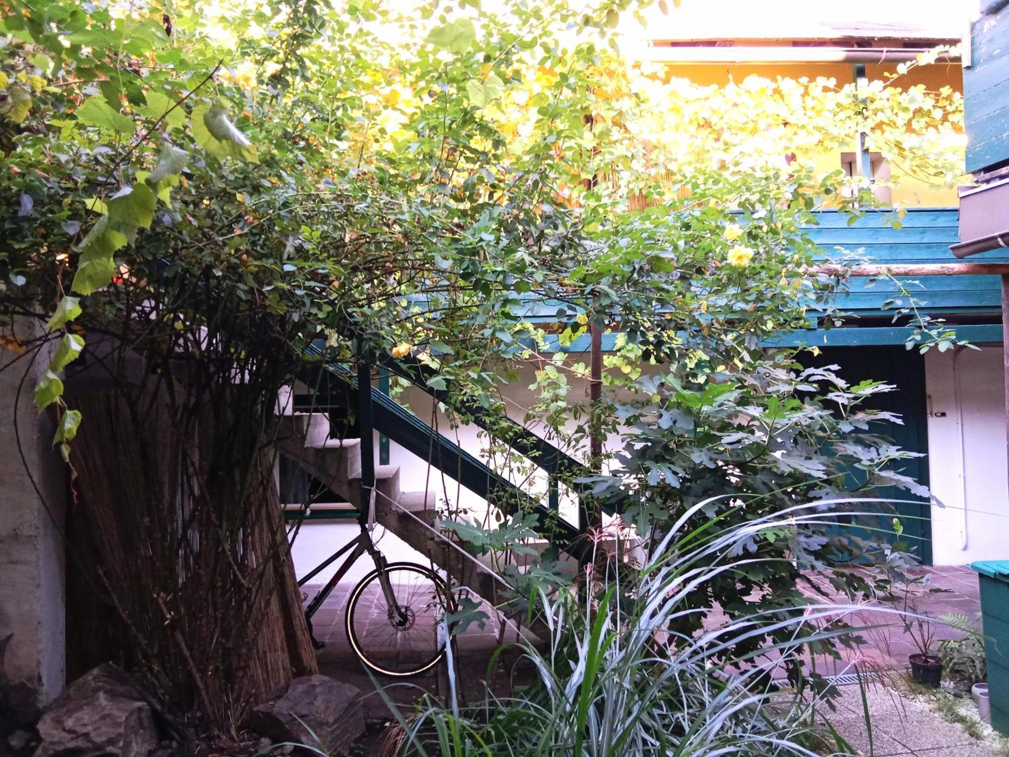 Apartment Mit 1 Schlafzimmer In Altstadthaus 格兰河畔圣法伊特 外观 照片